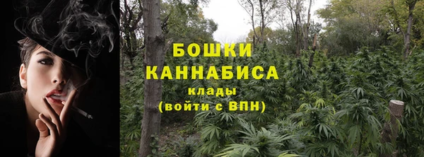 стаф Богданович